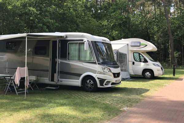 RVs parked in a forest campsite with trees in the background.