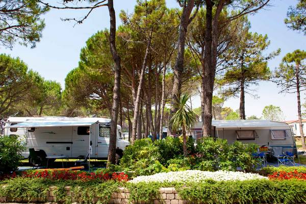 Camping onder bomen met geparkeerde campers in een rij.