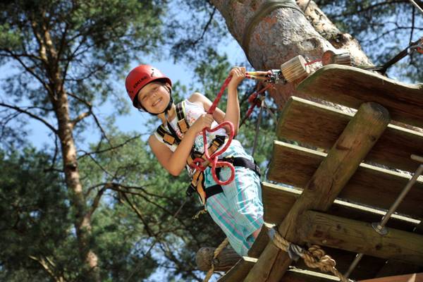 Girl climbing in tree rope course at Campsite Havelberge