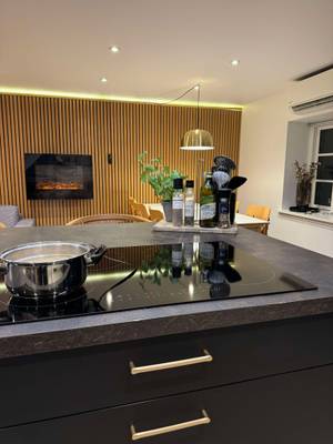 Placa de inducción en una cocina moderna en Feddet Strand Resort con paredes de madera.