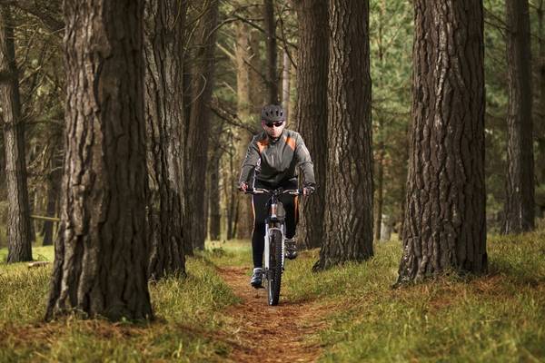 Un ciclista conduce por un sendero denso del bosque.