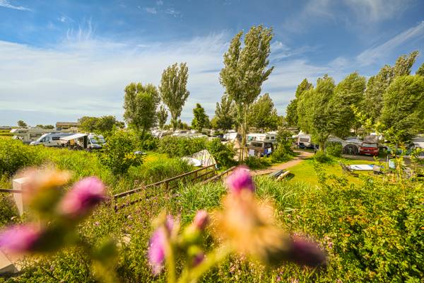 Wulfener Hals Campingplatz mit Wohnmobilen und Zelten unter blauem Himmel