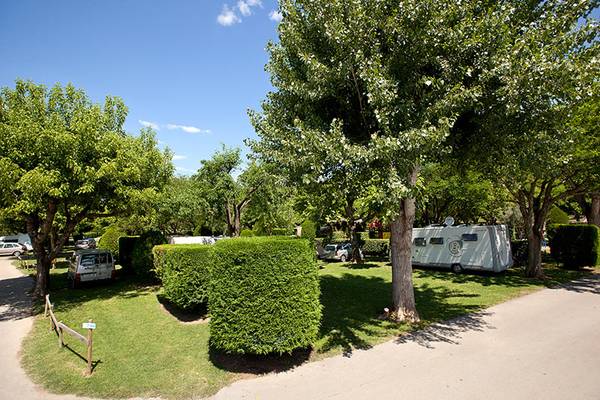 Autocaravana estacionada bajo árboles en un camping con arbustos y coches al fondo.