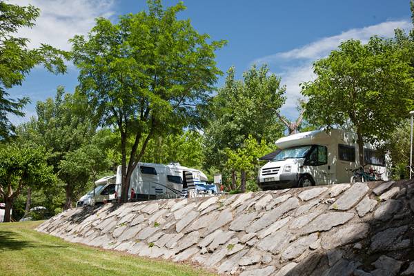 Campamento con autocaravanas estacionadas bajo árboles en un día soleado.
