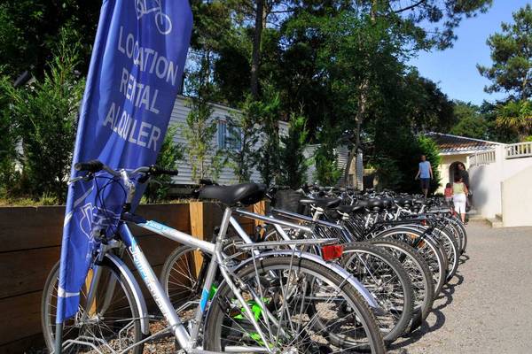 Fietsverhuur bij Camping Village Sylvamar met verschillende fietsen geparkeerd voor een gebouw.
