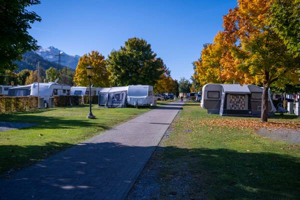 Campeggio con roulotte e alberi sullo sfondo in una giornata di sole