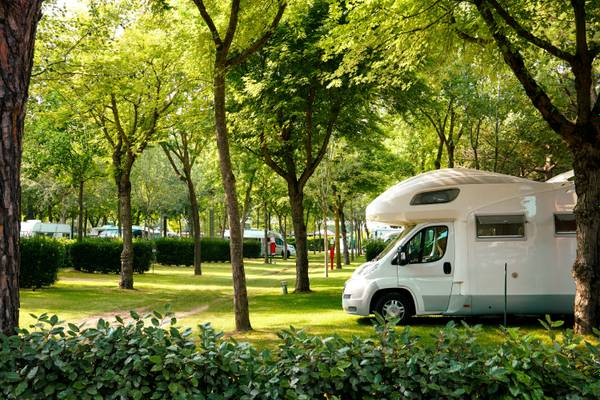 Camping con una autocaravana estacionada bajo los árboles.