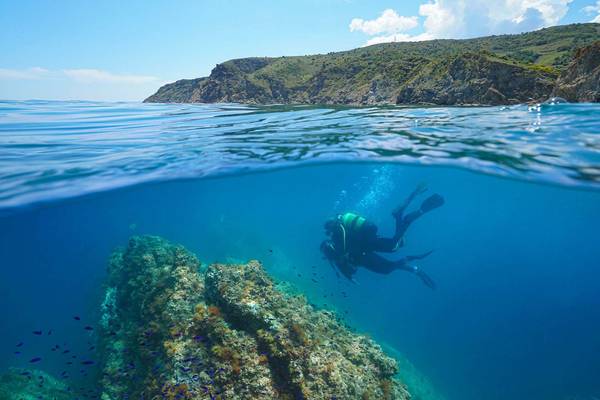 Le Brasilia activities diving