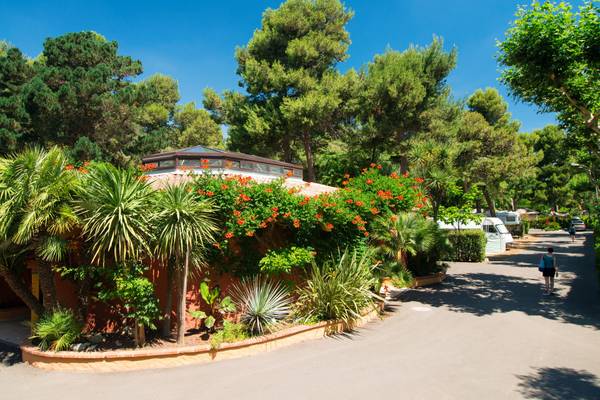 Vue extérieure du Camping Village Le Brasilia avec un bâtiment, des arbres et un chemin.