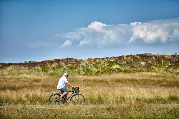 Man riding bicycle in Henne Strand Resort campsite