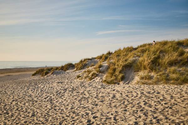 Beach scene at Henne Strand Resort with dunes and ocean view