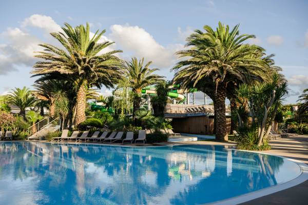 Una gran piscina con tumbonas y palmeras en el Camping Les Mouettes