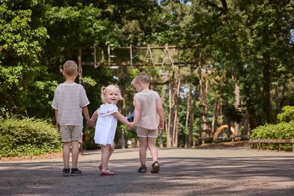 Three children walking together, holding hands, in a forest area