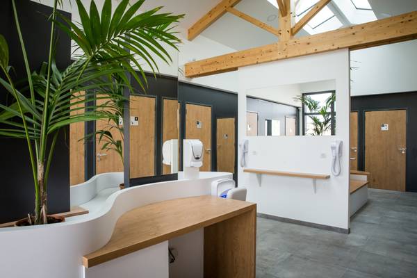 Espace d'accueil au Camping Le Pin Parasol avec des portes en bois, un bureau, un palmier en pot et un design moderne.