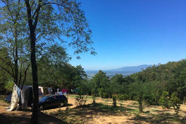 Campingplatz Barco Reale mit Auto und Zelten unter Bäumen
