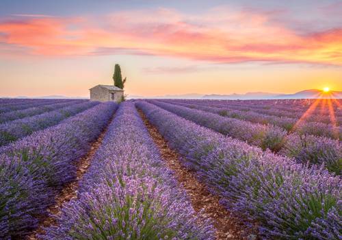 Campings en Francia Campings en Francia