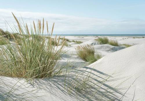 Campings in Denemarken