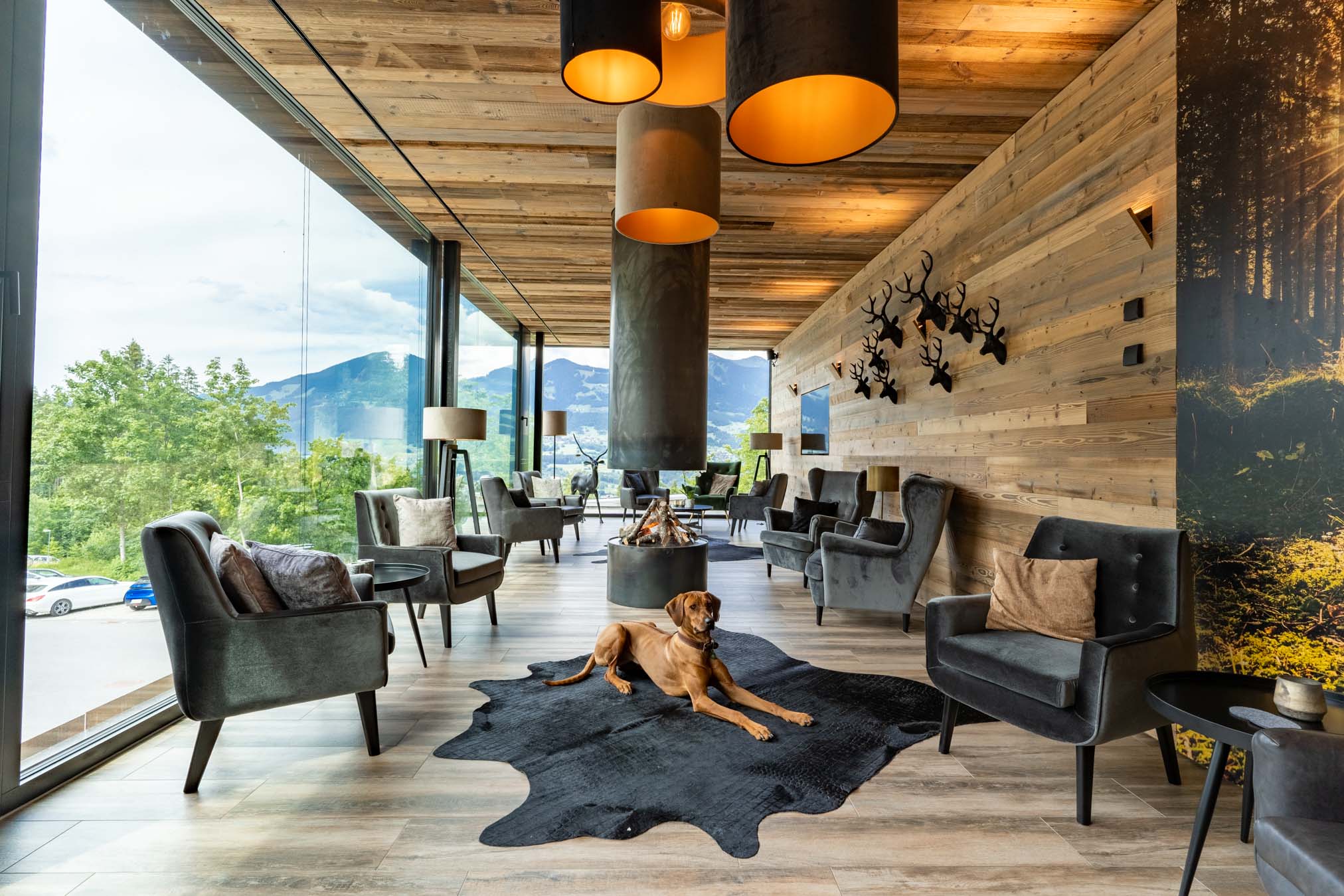 Area lounge del lobby all'Alpencamping Nenzing con un cane su una coperta e grandi finestre