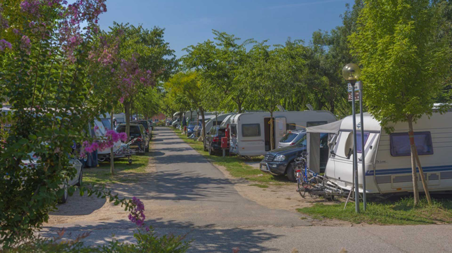 Campsite with campers and cars parked under trees