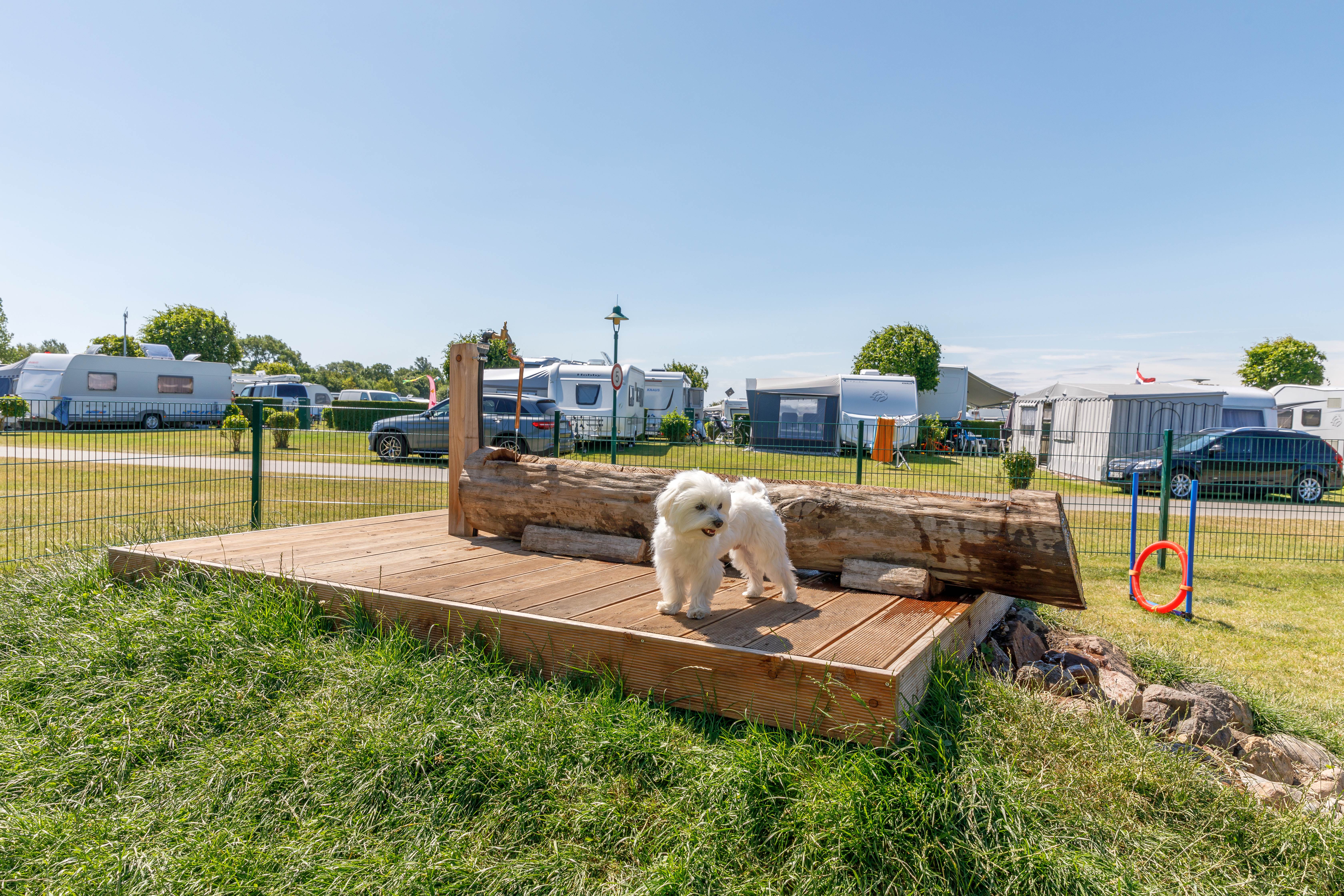 Insel-Camp Fehmarn - Camping in Meeschendorf/Fehmarn