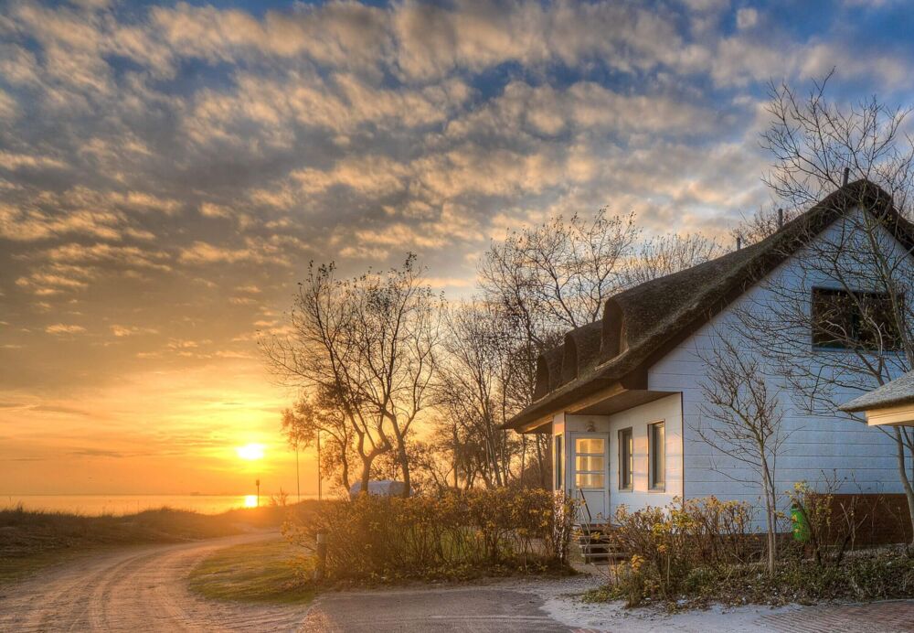 Home