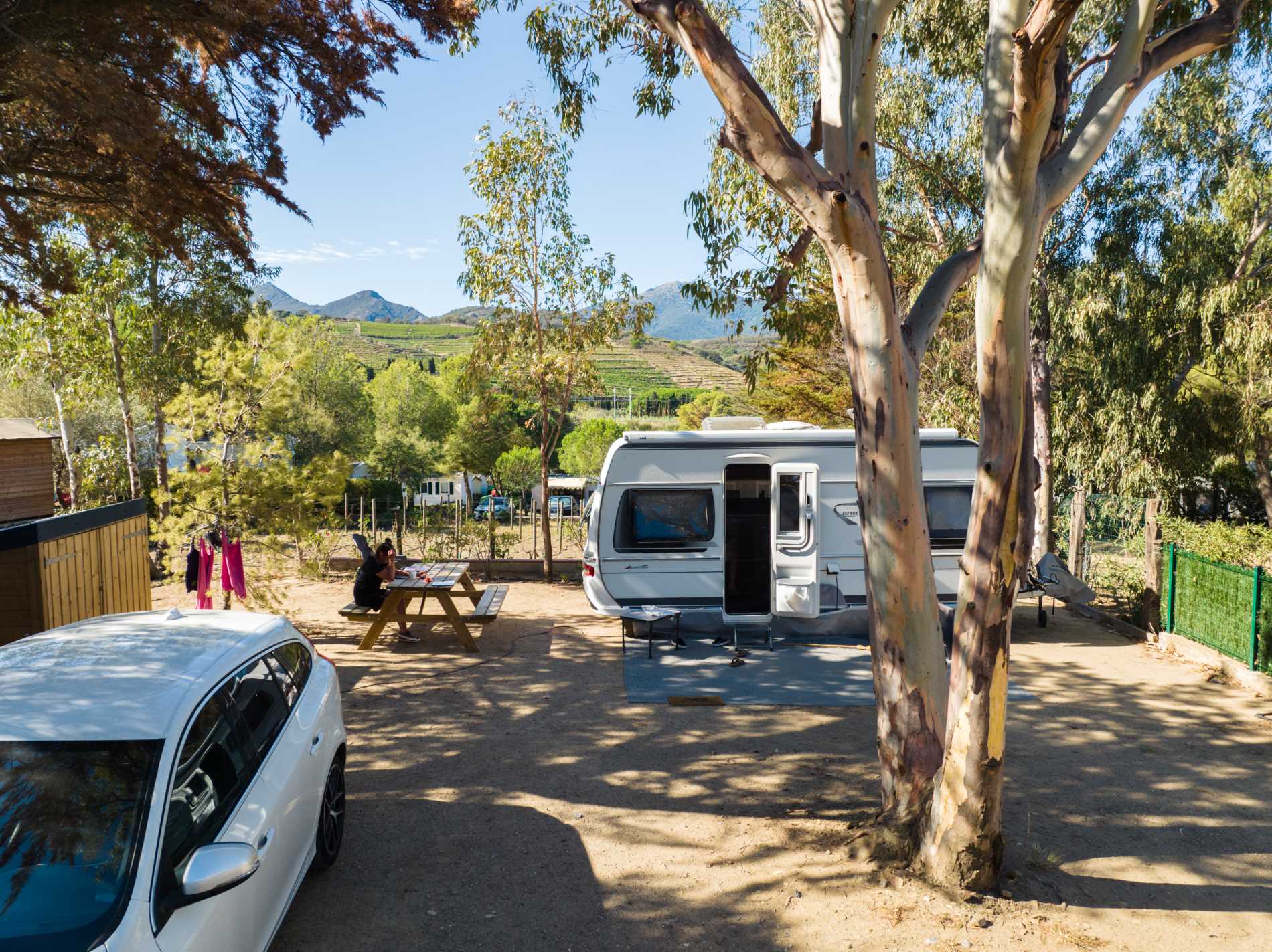 Campsite with a camper and a car under a tree