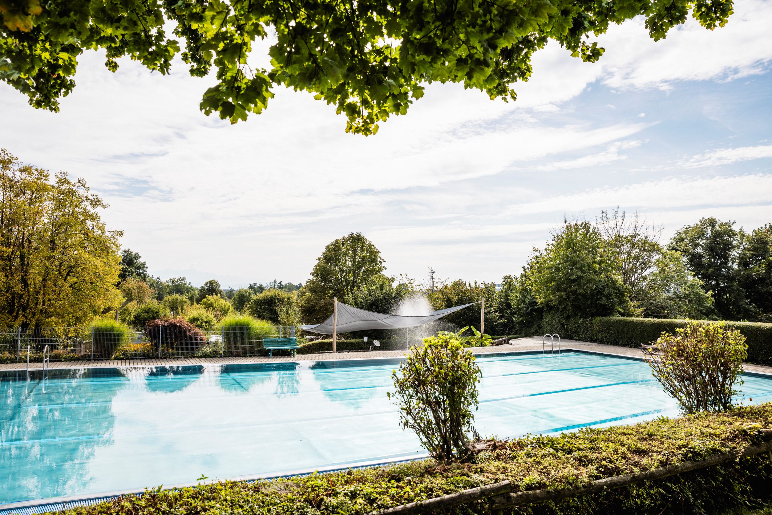 Swimmingpool på Camping Wirthshof under træer på en solrig dag