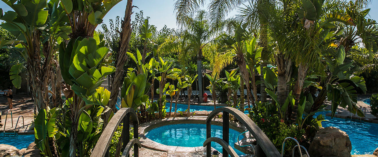 Outdoor pool at La Marina Camping & Resort with tropical surroundings